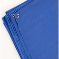 Proven Brands 8 ft x 10 ft Tarp, Blue 00810